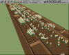 Train-Take2291.gif (52820 bytes)