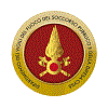 CNVVF logo